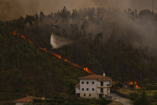 Arouca, Aveiro District, Portugal - 20 August 2026: View of a firefighting helicopter dropping water on a forest fire burning on a hillside near a residential house.