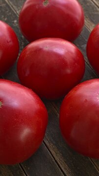 Brandywine heirloom tomatoes rotating on dark rustic wood background. Large organic heritage tomato circle composition slowly spinning in tight tilted view, vertical video.