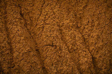 Fototapeta premium close up of tatacoa desert