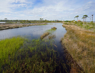 Fototapeta premium The Lagoon at Big Lagoon State Park