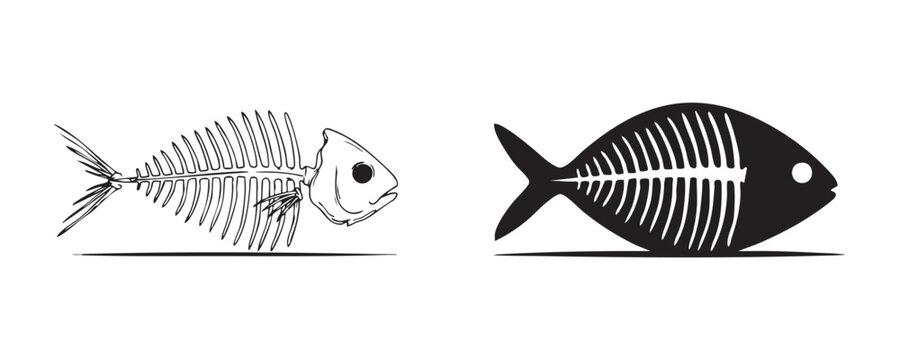 Minimalist fish skeleton silhouette and line art illustration set for marine biology concept design.