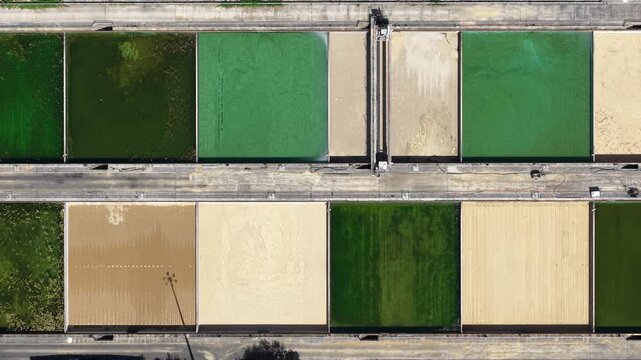 Algae biofuel cultivation farm from above