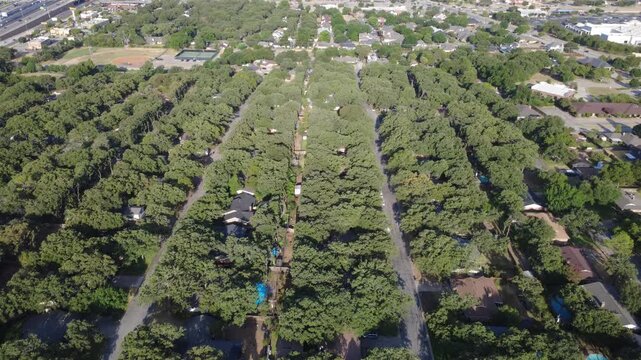 Continuous live oak canopies conceal quiet residential lanes bordering Little Bear Creek. Parallel streets, hidden rooftops, distant athletic fields reflect wooded charm, Hurst, Texas