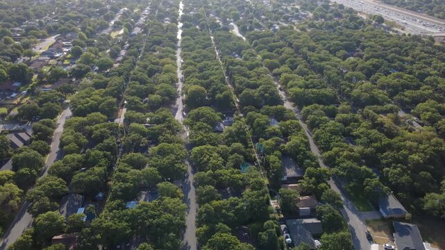 Dense green treetop corridors span tranquil single family avenues south of Airport Freeway. Shaded driveways, secluded swimming pools, private properties reflect peaceful atmosphere, Hurst, Texas