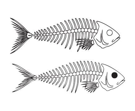 Two fish skeletons side view black outline and solid eye versions for biology teaching aids design.