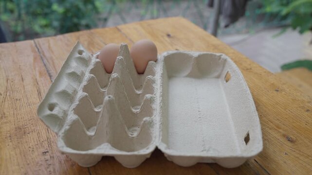 Close-up tabletop scene shows eggs being arranged in open recycled carton tray, with rough pulp texture, muted earthy tones, and blurred green garden background. Calm eco-friendly kitchen routine