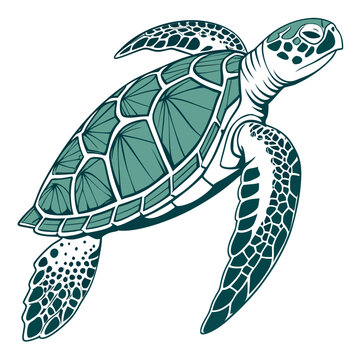 Sea turtle swimming with teal and dark green shell pattern isolated on a white background, marine life