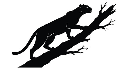 Fototapeta premium A black panther climbs a tree branch depicted as a striking silhouette