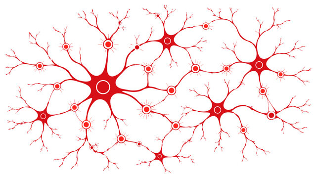 Abstract red neurons interconnected in a neural network on white background