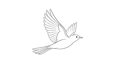 Fototapeta premium Minimalist line drawing of a bird in graceful flight with wings spread wide