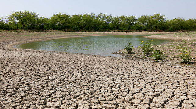 Cracked dry earth texture near a dwindling water pond during a severe drought period with green trees and blue sky background landscape