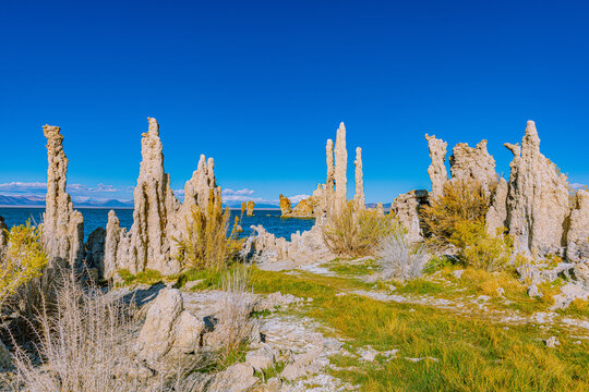 Slender limestone tufa spires rise among grasses at Mono Lake's South Tufa Reserve.
