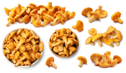 Fresh chanterelle mushrooms isolated on white, set © New Africa