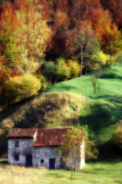 colorful trees and bushes, green grass and rustic stone house with tile roof on a hillside in northern Italy photographed in 1977, with Orton effect applied