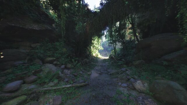 Tree arch scene, Twilight pathway among greenery, Shadowed canopy with glowing opening nearby, Leafy archway under dim light with bright crack ahead