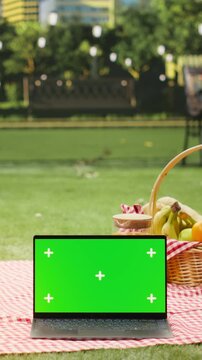 Vertical frame: Green screen laptop mockup sits near a picnic basket with fresh fruits and orange juice in a public park, showing screen replacement use beside picnic food during summertime leisure.