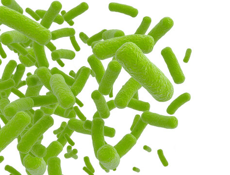 Bacteria cells isolated. 3d render	
