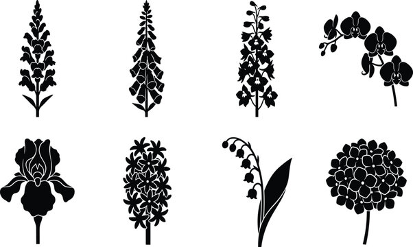 Black flower silhouette set with snapdragon foxglove delphinium orchid iris hyacinth lily of the valley and hydrangea botanical illustrations