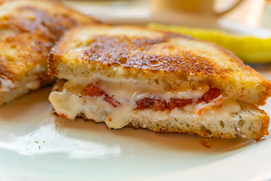 Close up of a grilled cheese and tomato sandwich on a table at a local diner.