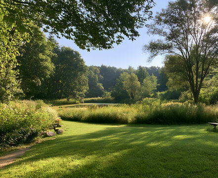 belle nature d' ao&ucirc;t au Parc du Pilat,
