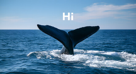 Naklejka premium Whale's tail greeting in the ocean water with hi text