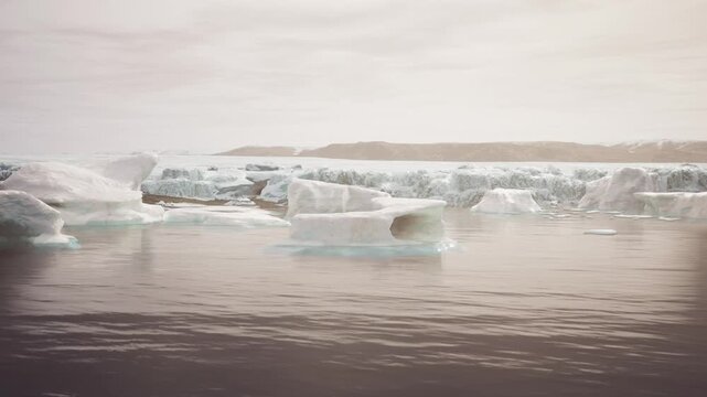 Icebergs drift gracefully in the calm waters of Greenland, showcasing stunning natural formations against a backdrop of gentle hues. The peaceful setting invites exploration.