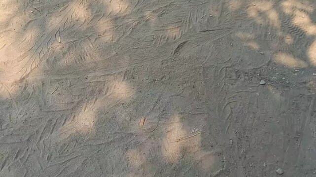 Textured sandy ground featuring intricate tire tracks and soft, dappled shadows from sunlight