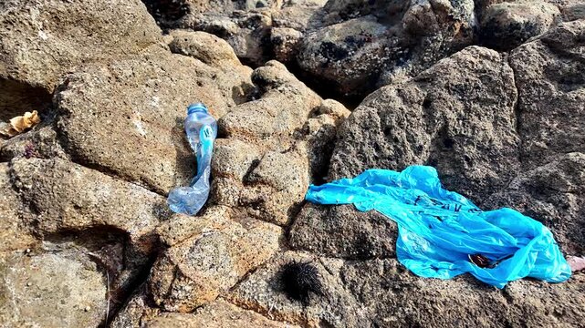 Single use plastic bag and plastic bottle abandoned on coastal rocks close
