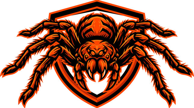 Fierce orange tarantula spider mascot with shield emblem vector illustration for gaming team or sport logo