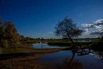 Picturesque landscape of a flooded park with trees and picnic tables reflected in calm water at sunset. © J.Moreno
