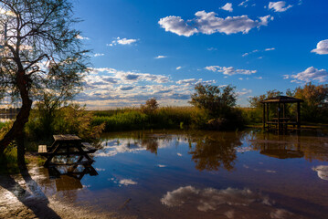 Flooded landscape in Lagunas de Villafranca, Castilla-La Mancha, Spain. © J.Moreno