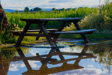 Picturesque landscape of a flooded park with trees and picnic tables reflected in calm water at sunset. © J.Moreno