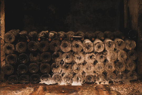 Cobweb and mold covered wine bottles stacked in a Beaune cellar in Burgundy, France, showing decades of quiet aging.