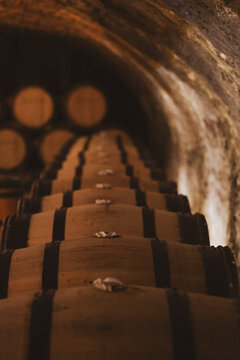 Wooden wine barrels line a dim cellar tunnel in Beaune, Burgundy, France, where fine wines age slowly in oak.