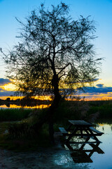 Picturesque landscape of a flooded park with trees and picnic tables reflected in calm water at sunset. © J.Moreno