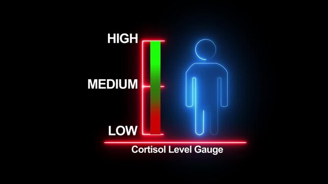 Cortisol Level Gauge Showing High, Medium and Low Stress Hormone Levels .4k