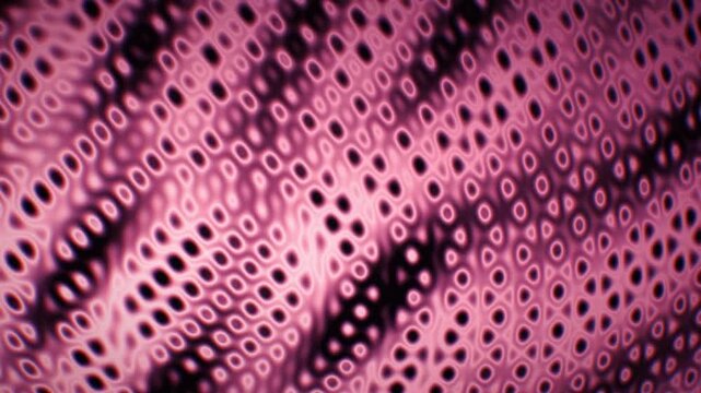 Dark cinematic pink and rose silky interference waves with smoke depth, seamless loop for motion backgrounds, titles, VJ sets, and screensavers.