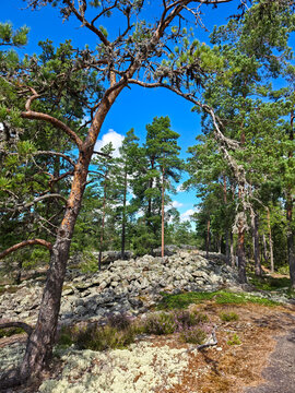 Bronze Age Burial Site of Sammallahdenm&auml;ki, a world heritage site in Finland