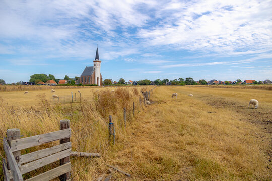 Typical landscape of Texel island with small village and picturesque church (Hervormde kerk) under blue sky and white clouds, A little town on the wadden islands, Den Hoorn, Noord Holland, Netherlands