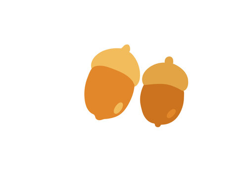 かわいいどんぐりのベクターイラスト