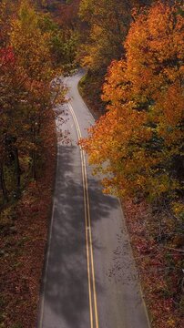 Evening autumn landscape featuring empty forest road lined with glowing trees in brilliant shades of gold, orange and red.