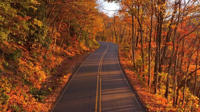 Empty mountain road surrounded by vivid fall foliage at sundown. Tranquil forest landscape perfect for seasonal travel.
