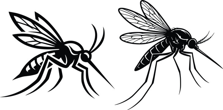 Mosquito Insect Vector Logo Collection