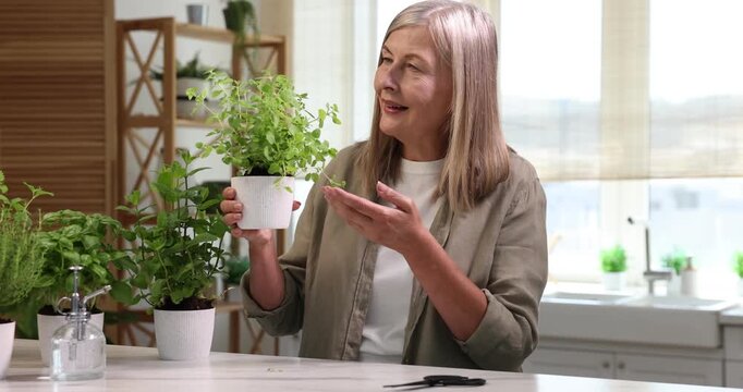 Smiling woman sniffing aromatic potted herb at light marble table in kitchen. Camera moving forward