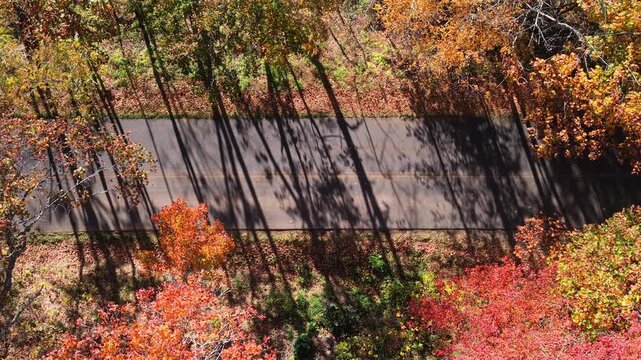 Car driving through colorful autumn scenery in mountain region. Winding forest road surrounded by golden leaves and cool air.