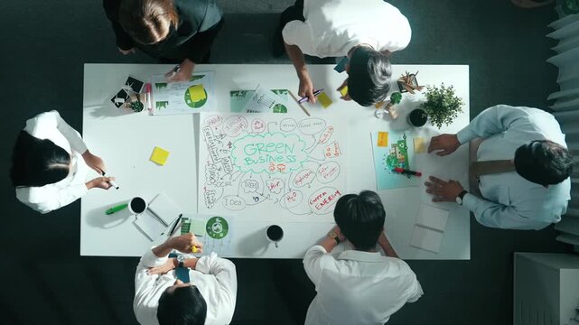 Top view of professional business team working together to brainstorm environmental idea by using mind map. Aerial view of smart manager talking and discussing about sustainable energy. Alimentation.
