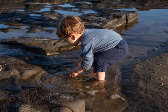 Two-Year-Old Toddler Boy Playing in Shallow Rocky Seawater on a Mild Day