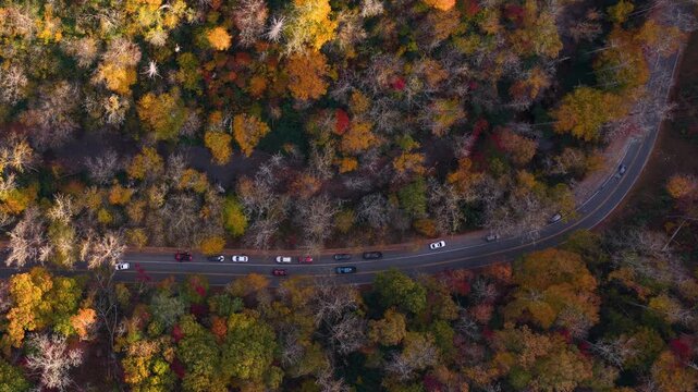 Car driving through colorful fall scenery in Appalachian region. Winding forest road surrounded by golden leaves and cool mountain air.
