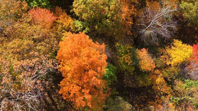 Scenic fall evening landscape of wooded Appalachian mountains. Colorful forest stretches across autumn mountain terrain.