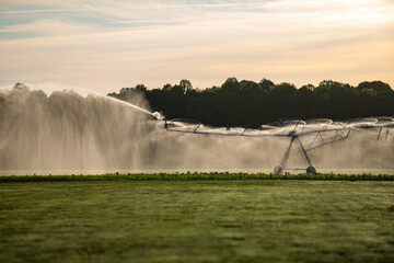 Irrigation system waters green field. Irrigation spray covers meadow. Irrigation equipment spans landscape. Irrigation mist surrounds sunset background. © Svitlana